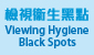 Government Programme on Tackling Hygiene Black Spots